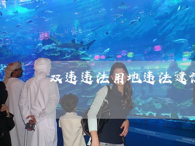 双违违法用地违法建设 双违违法用地违法建设