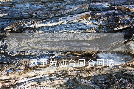 双重劳动合同合同法 双重劳动合同合同法