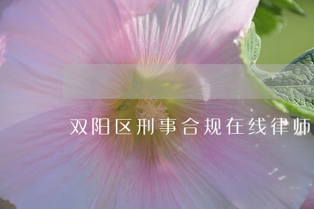 双阳区刑事合规在线律师 双阳区刑事合规在线律师