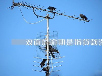 双面屏逾期是指贷款没还吗 双面屏逾期是指贷款没还吗