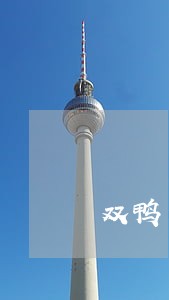双鸭山债务纠纷律师电话 双鸭山债务纠纷律师电话