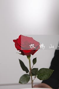 双鸭山刑事官司律师咨询电话 双鸭山刑事官司律师咨询电话