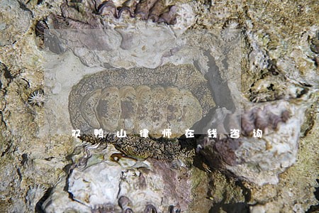 双鸭山律师在线咨询 双鸭山律师在线咨询