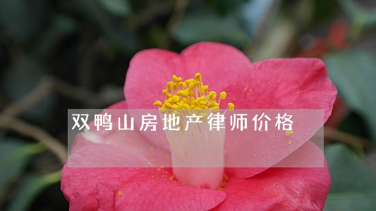 双鸭山房地产律师价格 双鸭山房地产律师价格