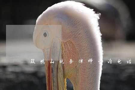 双鸭山税务律师咨询电话 双鸭山税务律师咨询电话