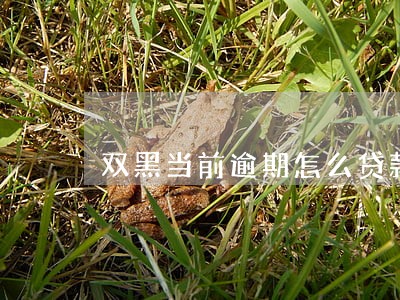 双黑当前逾期怎么贷款 双黑当前逾期怎么贷款