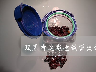 双黑有逾期也能贷款的口子 双黑有逾期也能贷款的口子