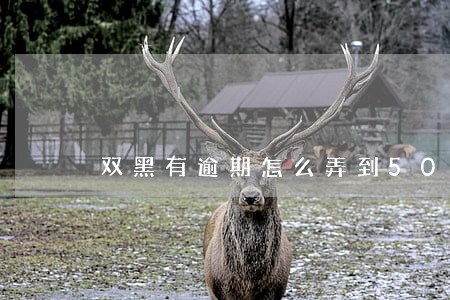 双黑有逾期怎么弄到5000 双黑有逾期怎么弄到5000
