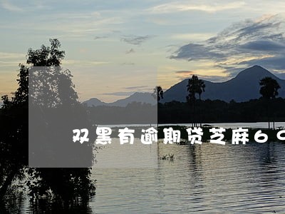 双黑有逾期贷芝麻699分 双黑有逾期贷芝麻699分