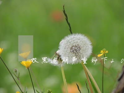双黑逾期严重秒下2000的口子 双黑逾期严重秒下2000的口子
