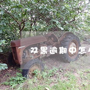 双黑逾期中怎么借钱6