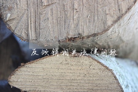 反倾销相关法律问题 反倾销相关法律问题