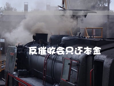 反催收会只还本金 反催收会只还本金