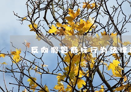 反向假冒商标行为法律研究 反向假冒商标行为法律研究