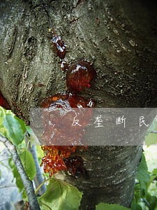 反垄断民事诉讼一审管辖权 反垄断民事诉讼一审管辖权