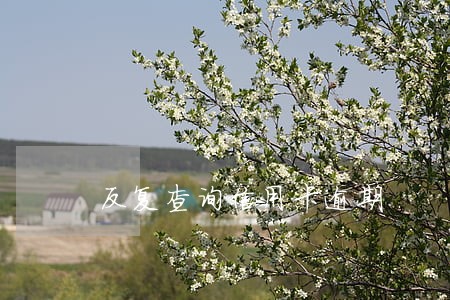 反复查询信用卡逾期 反复查询信用卡逾期