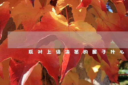 反对上级决策的属于什么违法