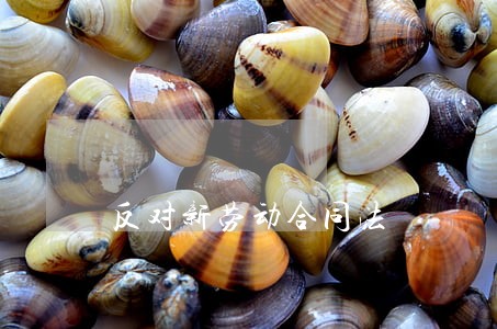 反对新劳动合同法 反对新劳动合同法
