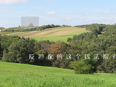 反担保的这个钱法院有权动用吗