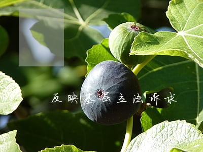 反映基层立法诉求 反映基层立法诉求