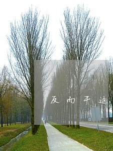反而干这个违法勾当 反而干这个违法勾当