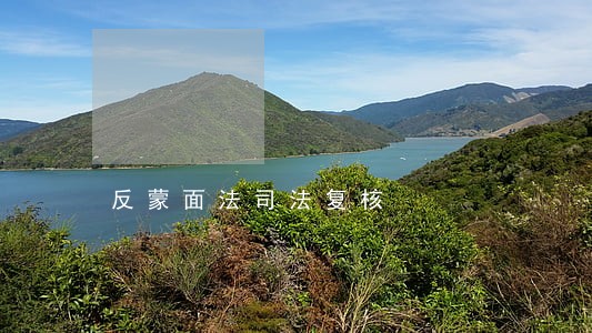 反蒙面法司法复核 反蒙面法司法复核