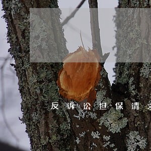 反诉讼担保请求书 反诉讼担保请求书
