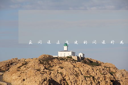 反间谍法规定的间谍行为