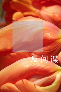 反间谍的立法依据是什么 反间谍的立法依据是什么