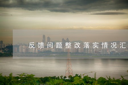 反馈问题整改落实情况汇报 反馈问题整改落实情况汇报