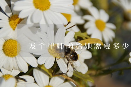 发个律师函给她需要多少钱 发个律师函给她需要多少钱