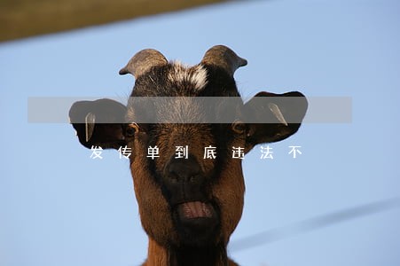 发传单到底违法不 发传单到底违法不