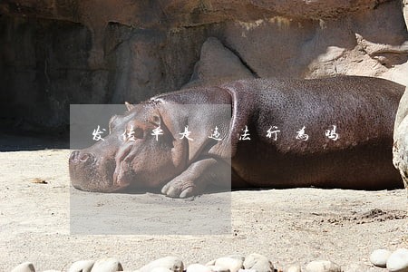 发传单是违法行为吗