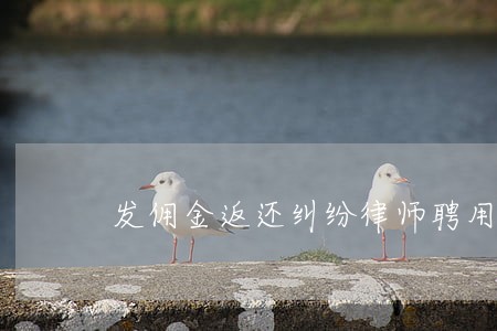发佣金返还纠纷律师聘用 发佣金返还纠纷律师聘用