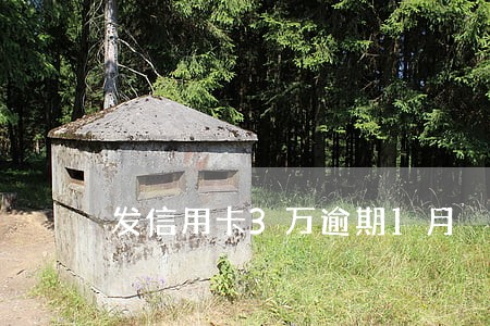 发信用卡3万逾期1月