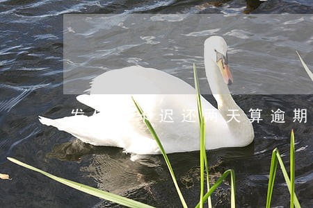 发信用卡迟还两天算逾期吗 发信用卡迟还两天算逾期吗