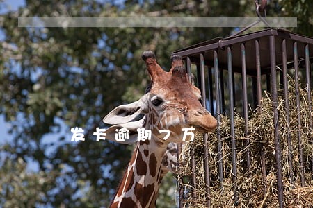 发卡逾期7万