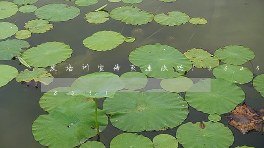 发培训宣传页违法吗/2023020908035 发培训宣传页违法吗/2023020908035