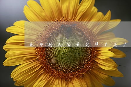 发布别人公开的照片违法吗