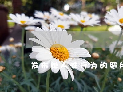 发布她人性行为的照片是否违法 发布她人性行为的照片是否违法