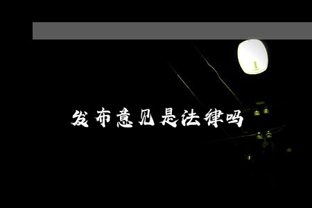 发布意见是法律吗 发布意见是法律吗