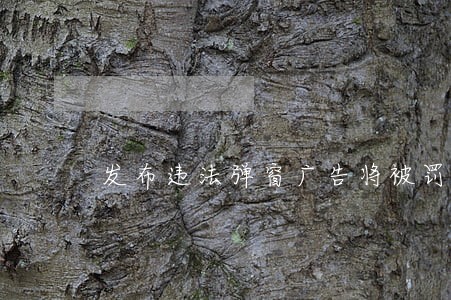 发布违法弹窗广告将被罚款 发布违法弹窗广告将被罚款