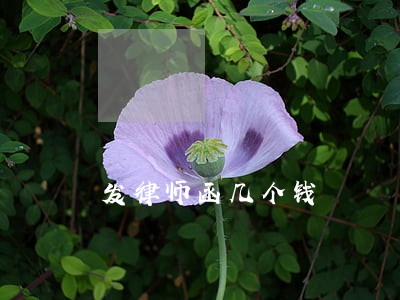 发律师函几个钱 发律师函几个钱