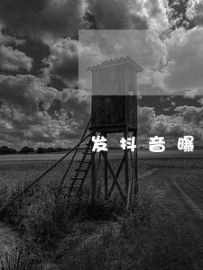 发抖音曝光售楼部算违法吗