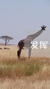 发挥司法调解 发挥司法调解