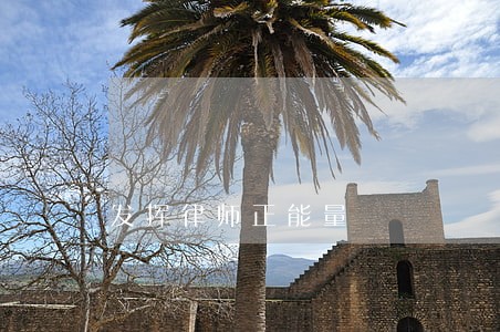 发挥律师正能量 发挥律师正能量