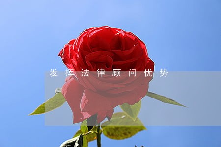 发挥法律顾问优势 发挥法律顾问优势