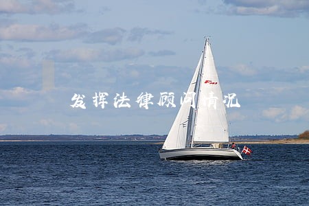 发挥法律顾问情况 发挥法律顾问情况