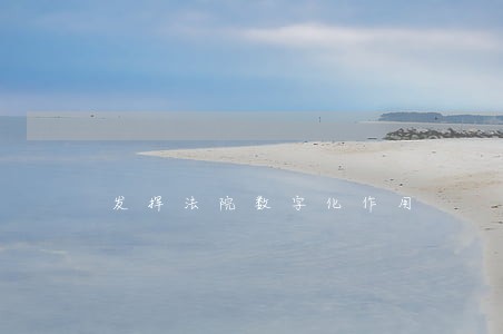 发挥法院数字化作用