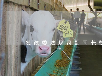 发改委法规司副司长魏 发改委法规司副司长魏